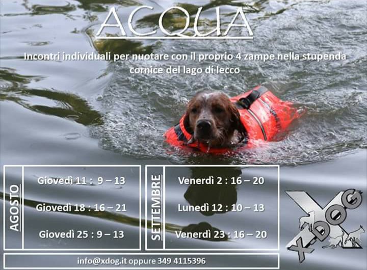 XDog_asd's tweet photo. Calendario acqua agosto-settembre! #dogs #xdog #attivitanatatorie #nuotareconilcane #dogtraining #cane #giochicane https://t.co/EFekEbE3oc