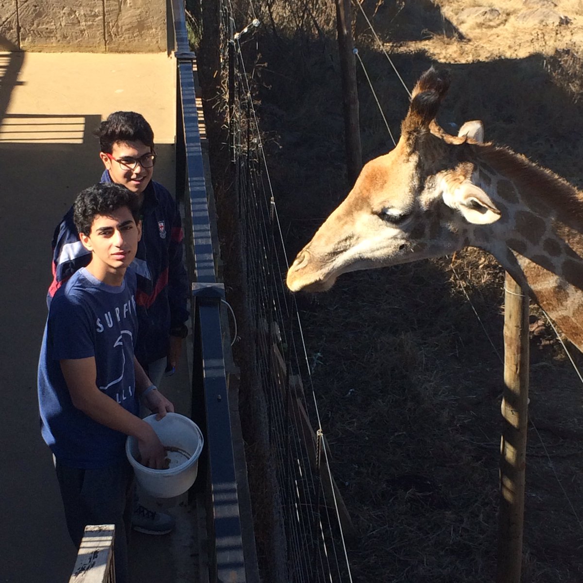 Exchange students Kuku and Ramsey feeding a Giraffe at Cradle of Humankind <a href="/ststithians/">St Stithians College</a> <a href="/zasaintsbc/">Boys' College</a>