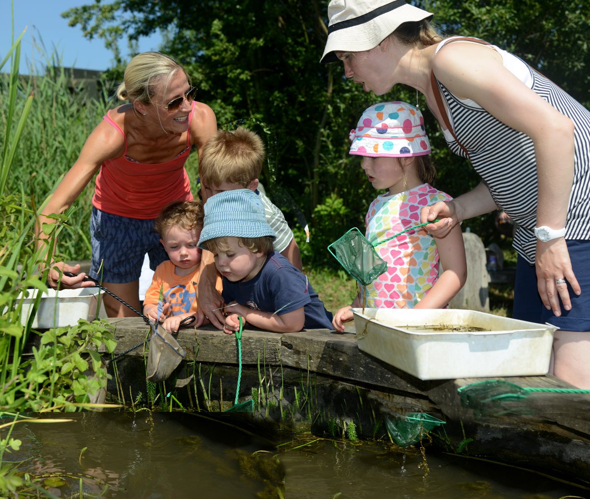 WWTLondon's tweet photo. Join us today from 3pm - 3.45pm for a pond dipping session to see what mini-beasts are about #summer #lbrut https://t.co/p5fLPBsPWf
