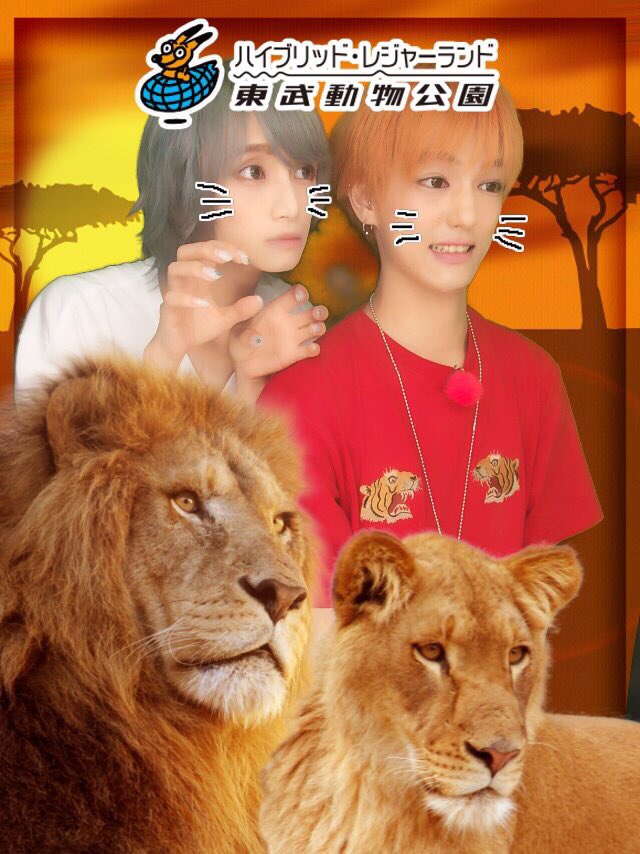 こんどうようぢ ようぢ とまん Abematv In 東武動物公園 すっごく楽しすぎた 見てくれてコメントしてくれた 皆本当にありがとうです 天気は少し残念だったけど 気にしないぐらい楽しめた またロケやりたいですー