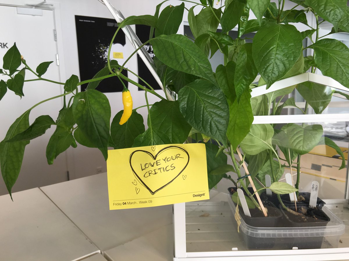 Designit's tweet photo. #TipOfTheDay: "Love your critics" #Designit #Design #StrategicDesign #TipsForInnovation #ThursdayThoughts https://t.co/nEgGUqMJRe