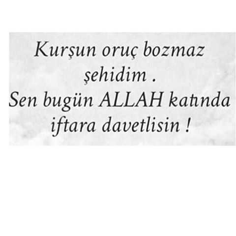 SorryForDead_ tweet picture