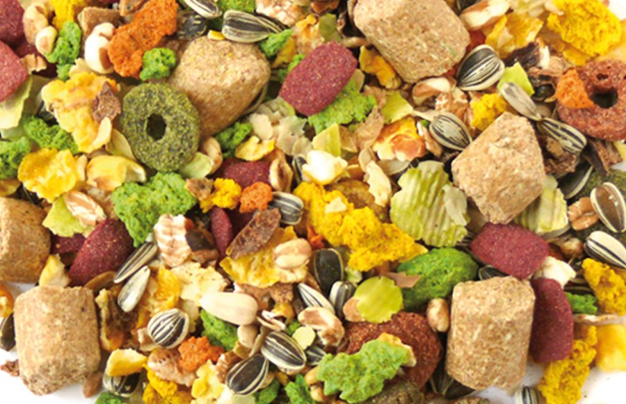 NaturePets_de's tweet image. #Neu: #Nagerfutter für #Ratten von Nagertraum Exquisit!
#nager #futter #ratten #exquisit #traum #nährreich