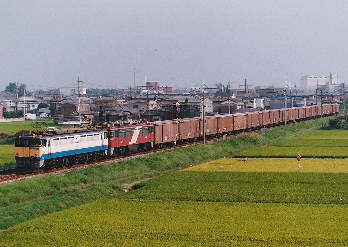 the_freight_395's tweet photo. 1989 9/8 EF65 1065+ED75 126+ワム 8161レ
昨日・一昨日と試験塗装機同士の重連を載せて来ましたが、今日は直流・交流機の試験塗装機重連を。
吹田・新鶴見機関区の撮影会返却回送で実現した組み合わせ。 https://t.co/hlNvTwsR03