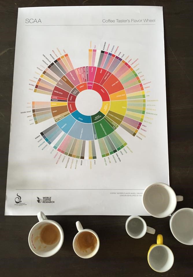 Ben jij een echte fijnproever? Ontdek hier het aromawiel van alle koffiesmaken! bit.ly/coffeeflavourw…