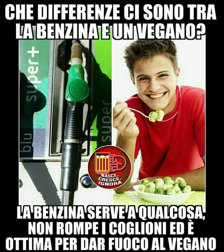 Vegano Infame Per Te Solo Salame