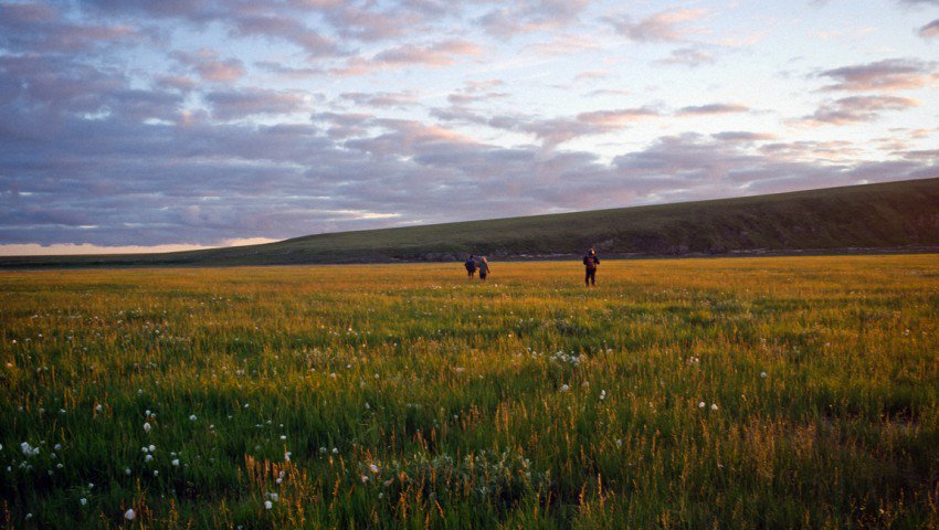 Tracing the steps of lost explorers in miserable, beautiful Siberia. By Hampton Sides:  bit.ly/1KAx9aG