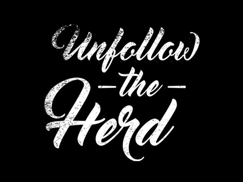 PeculiarThreads's tweet image. Don't follow the herd....lead your own!