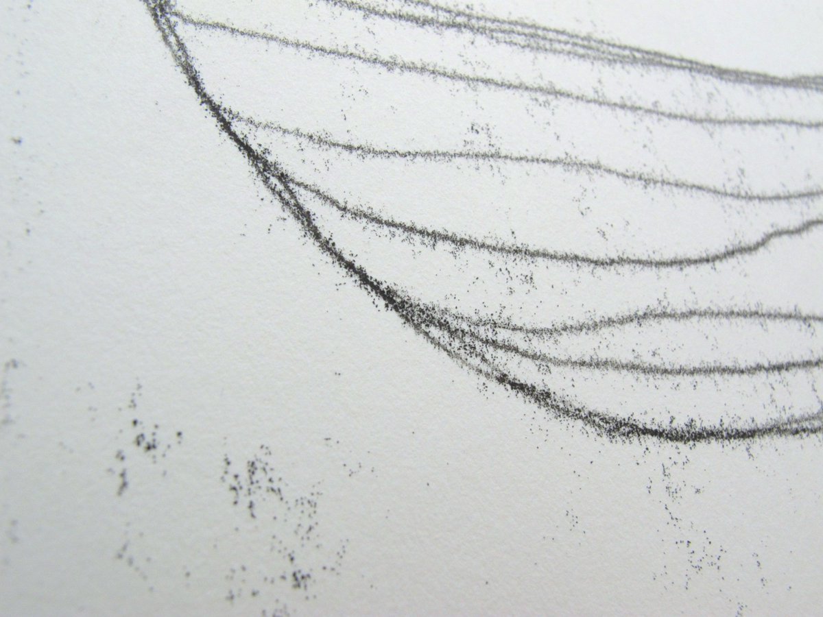 Coming soon. Mono Print Day 27 August. So immediate, suits any style, such fun. BOOK doubleelephant.org.uk/courses/view/m…