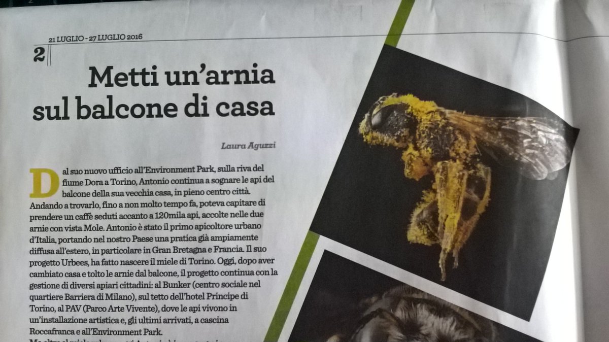 Nola_Sabou's tweet photo. Upss...I did it again. Ho parlato del @ProgettoUrBees e di #TOBee su @OrigamiTwitta. Tutta colpa di 
@antoniourbees https://t.co/3GgNktcLDM