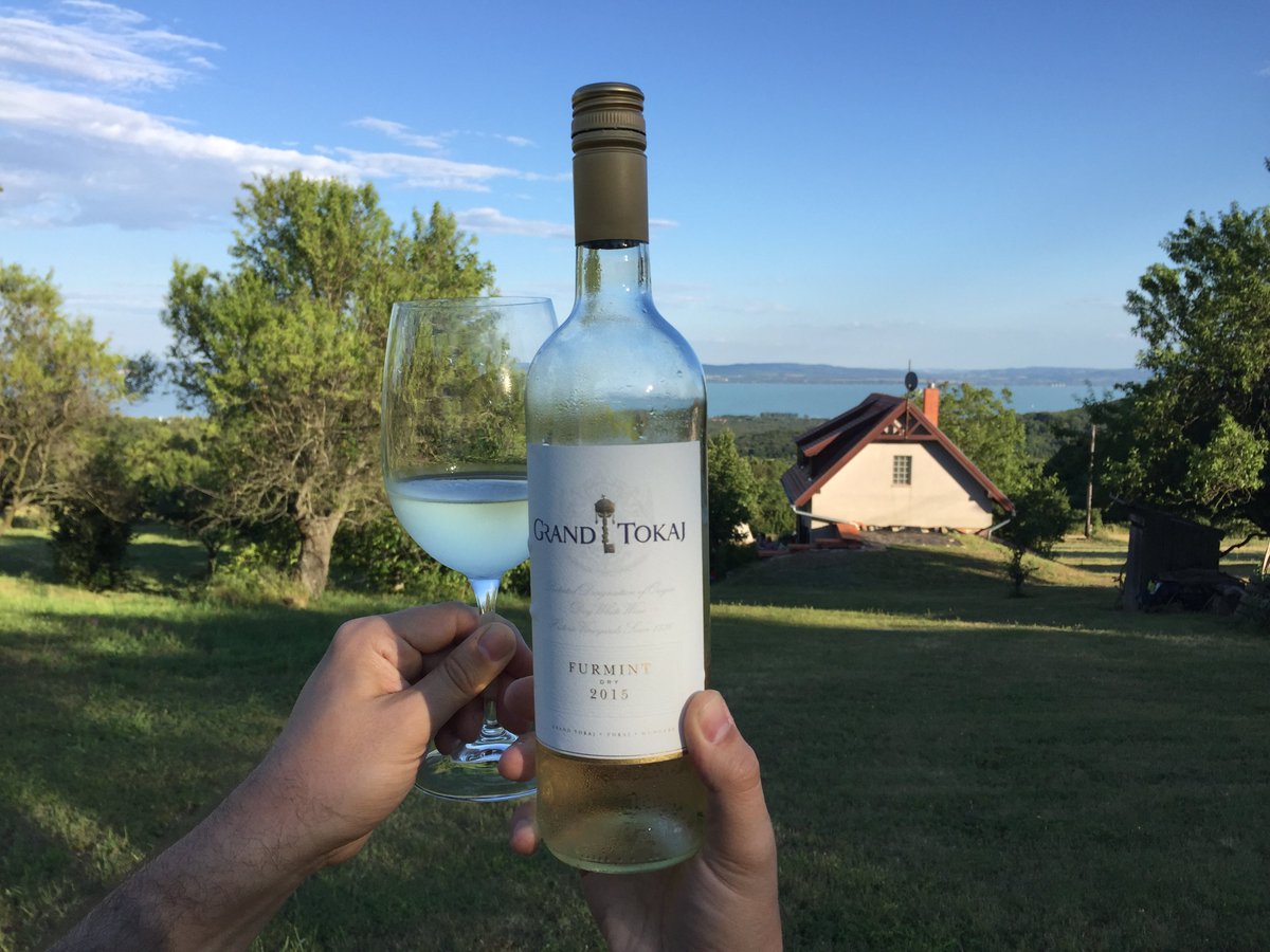 Grand Tokaj tweet media