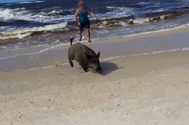 Boared? broadsheet.ie/2016/07/21/boa…