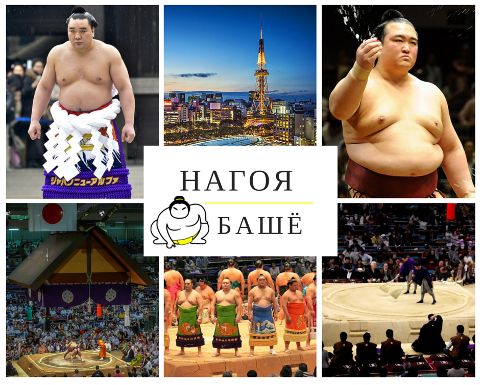 Ёкозуна Харумафүжи, озэки Кисэносато нар тэмцээнийг 10 даваатай тэргүүлж байна. #Нагоя #башё facebook.com/mongolsumo/pho…