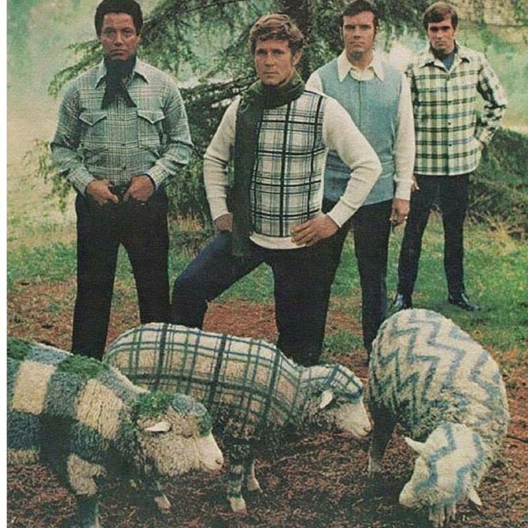 ThePoke's tweet photo. #recap Not even sheep were spared from 1970s fashion atrocities

https://t.co/YraS8UcE4u https://t.co/hT2LmOQx66