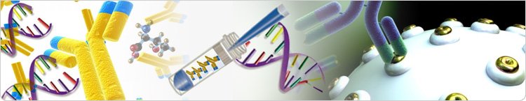 Bio_Synthesis0's tweet image. Antibody Purification Services
For More Information visit on:-
biosyn.com/Antibody-Purif…

OR call us :-972-420-8505