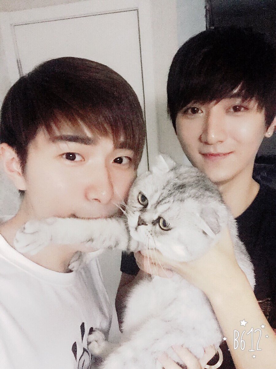 BaoziHana's tweet photo. With baby xiaolongbao😝✨❤️ https://t.co/39q5UjQ6GD