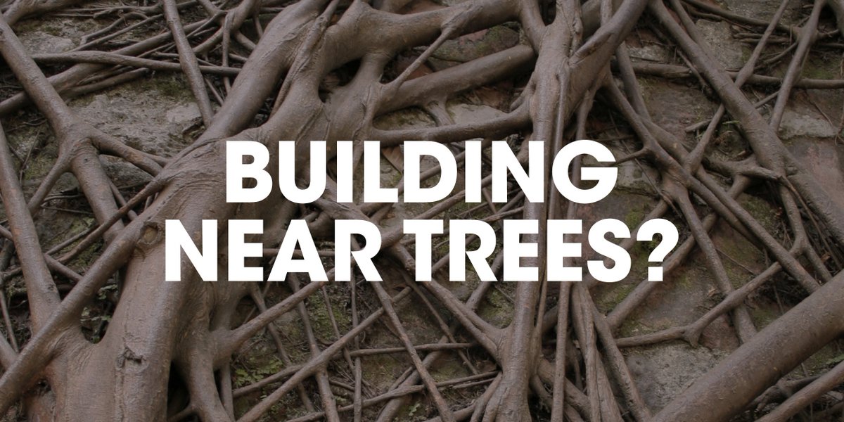 Are you building near trees? Take a look at our 5 factors to consider  bit.ly/1oQcJpS #foundations