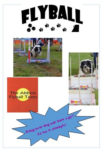 Fancy you and your dog having a go at FLYBALL this Sunday? £2 a go <a href="/NCHCountryFair/">NCH Country Fair</a> #Broadway #FamilyFun #Cotswolds