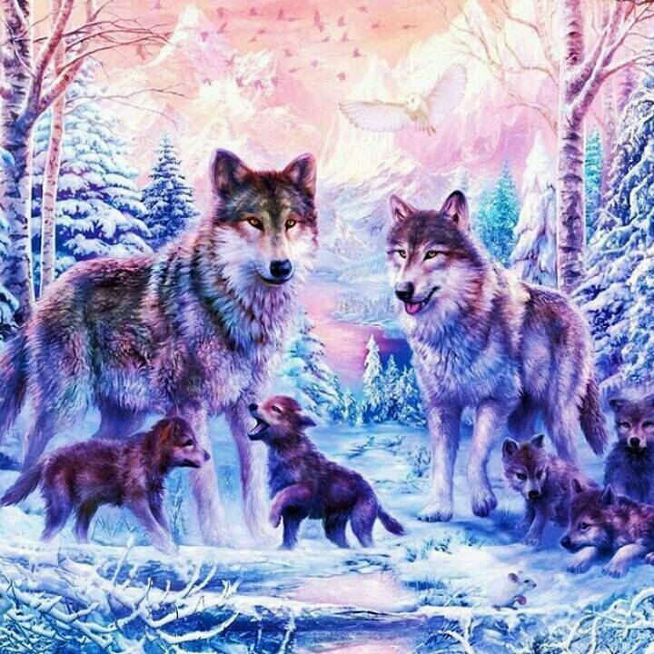 BreannaKetchum2's tweet photo. ✨😄#Makemesmile.Come chat with me #liveme #livemoment~bloom's #onairnow~
https://t.co/dKgqsbdUH8 https://t.co/Yywq5Jo2Yt