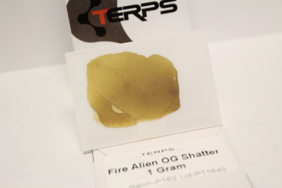 TerpsCon's tweet photo. Fire Alien OG. #terps #concentrates #shatter #dabs #dablife #dabbersdaily #mmj #marijuana #cannabis #hybrid https://t.co/wgOHgLo1UI