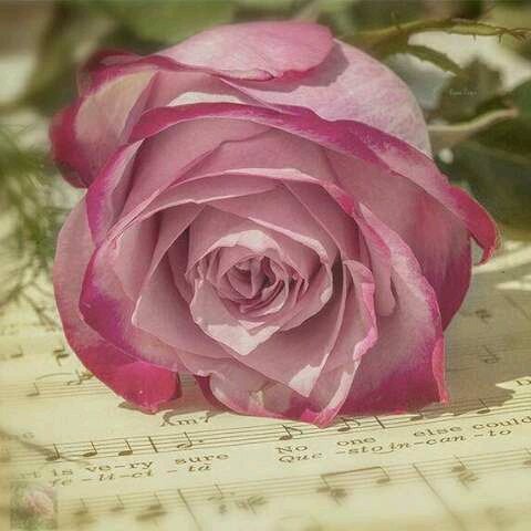 Operação beta lab! (@suelili2016) on Twitter photo 