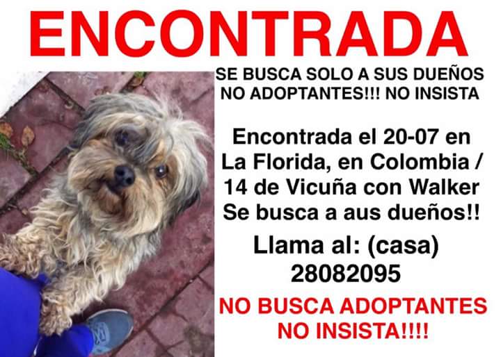 encontrada en #laflorida se busca a su familia no está en adopción.