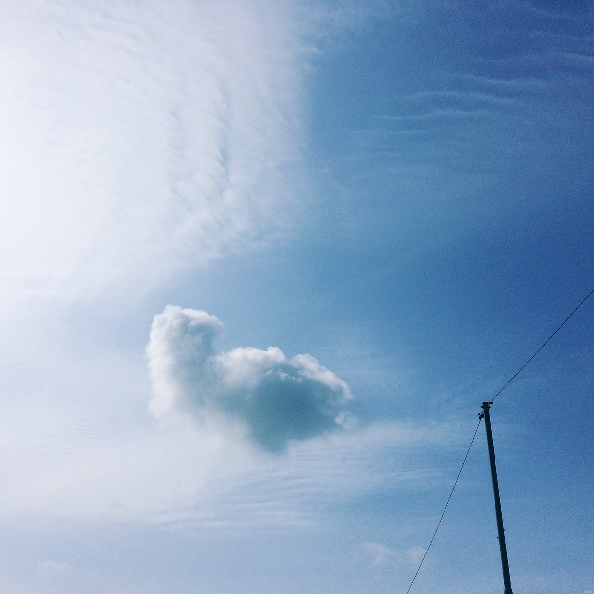 yoshihiro0705's tweet photo. 通勤途中この空を見たら会社をサボってしまった。
と言えないのがサラリーマンの辛いところ。
良い空だった、朝まではね😻
#雲 #空 #bluesky #beautifulsky #イマソラ #clouds_sky https://t.co/K6sqwmaNNc