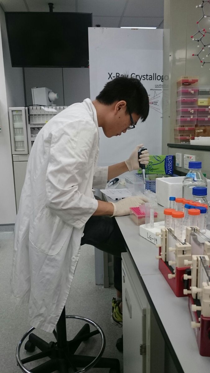 Another beautiful angle of Heiwai's undisturbed concentration towards his craft! #iGEM2016