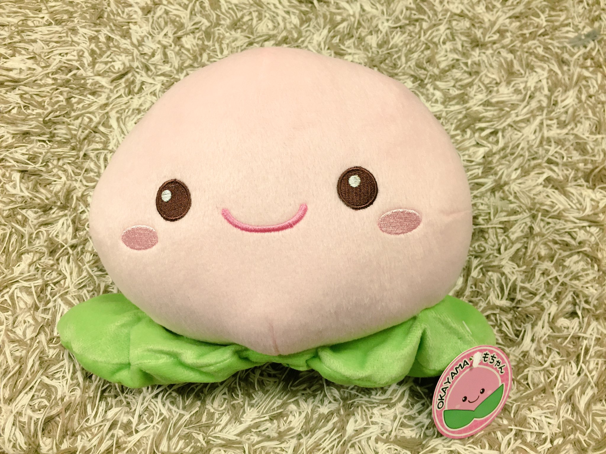 成蹊ピーチくん勝手に応援団長 団長は桃グッズを集めている それを知っている御仁から桃のぬいぐるみ をもらった O Okayamaももちゃんなのだ 桃太郎の国だけあって 岡山は桃グッズであふれているらしい 岡山に行きたいぞ T Co ewbfc1mk 成蹊ピーチくん勝手に応援団長 団長は桃グッズを集めている それを知っている御仁から桃のぬいぐるみ をもらった O Okayamaももちゃんなのだ 桃太郎の国だけあって 岡山は桃グッズであふれているらしい 岡山に行きたいぞ T Co ewbfc1mk