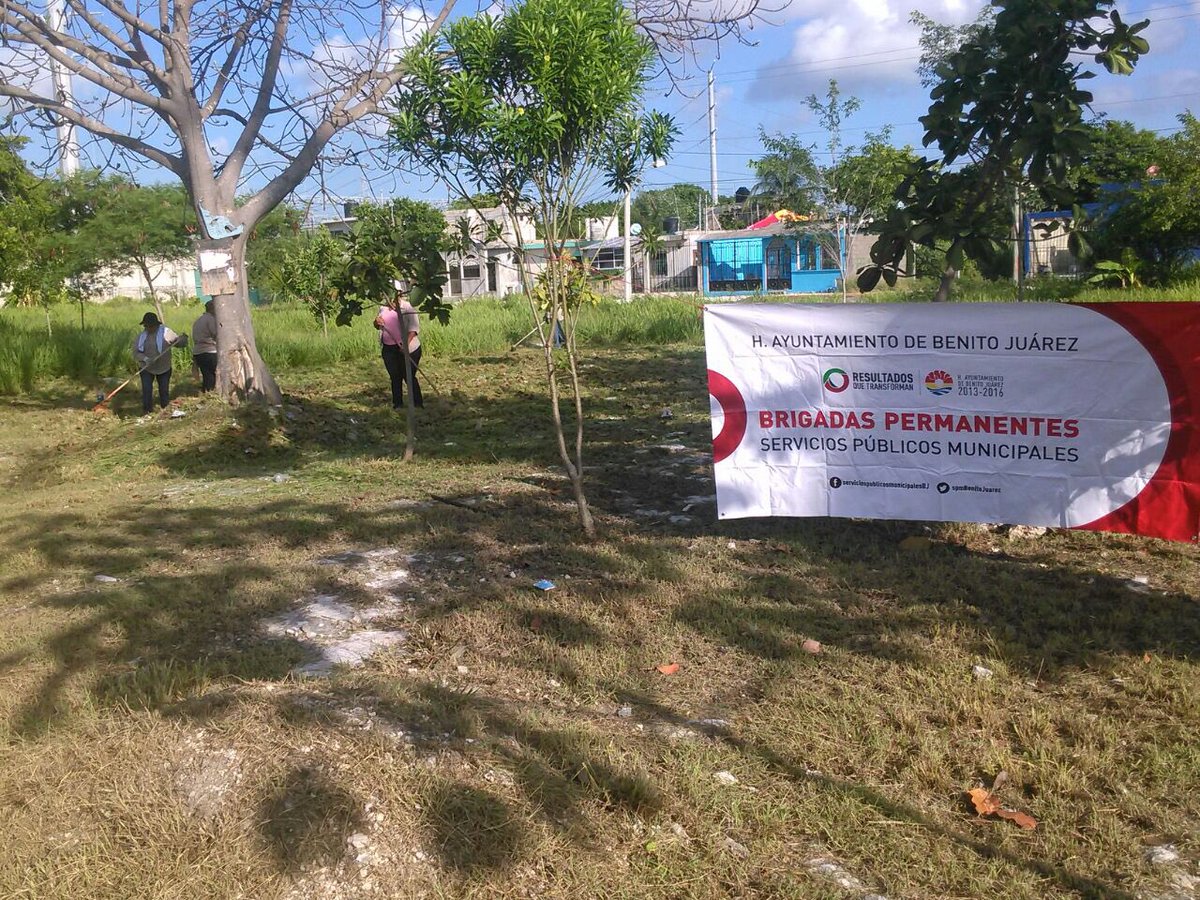EmmanuelZetina's tweet photo. Brigadas de limpieza trabajando en #Av20DeNov @PaulCarrillo2 @VivoEnCancun @AlejandroRosel7 @DAVIDROMEROVARA https://t.co/FHGkMBM4O0