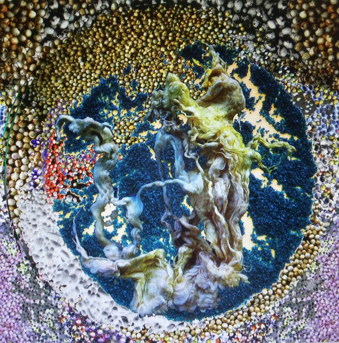 Untitled series Space Cristina Santana