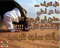 ch8_mp's tweet image. 