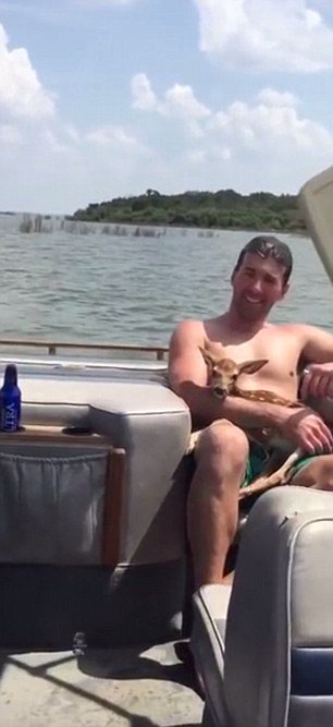 Daily_MailUS's tweet photo. This guy saved a baby deer from drowning and now he has a new BFF https://t.co/n5FPB2bqAs https://t.co/llMc5xOvWn