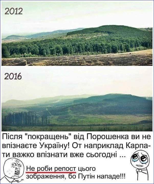 ГПУ опубликовала доказательства хищения чиновниками земель бучанского леса и аграрного университета - Цензор.НЕТ 4061