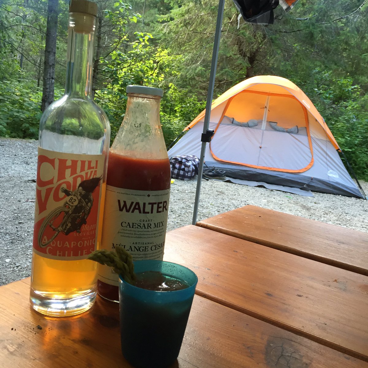 Monashee_Spirit's tweet photo. Starting the morning off right with some @SonsofVancouver #chillivodka #cesears in Blanket Creek Provincial Park. https://t.co/0Sse5zPxfn