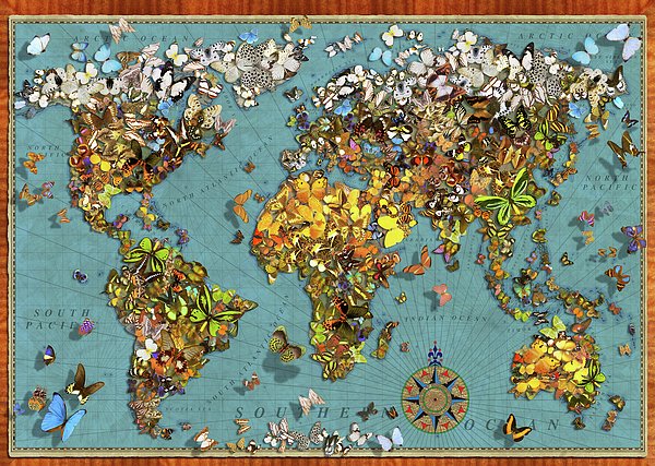 MGL Licensing tweet media