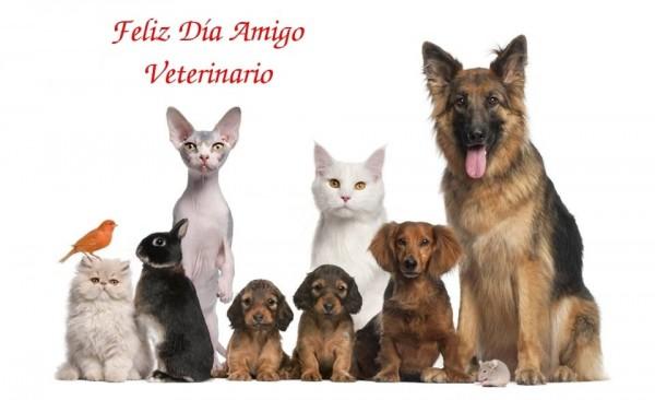 Ser veterinario es acreditar la inmortalidad de la naturaleza y querer preservarla siempre más bella @SaIaTachira