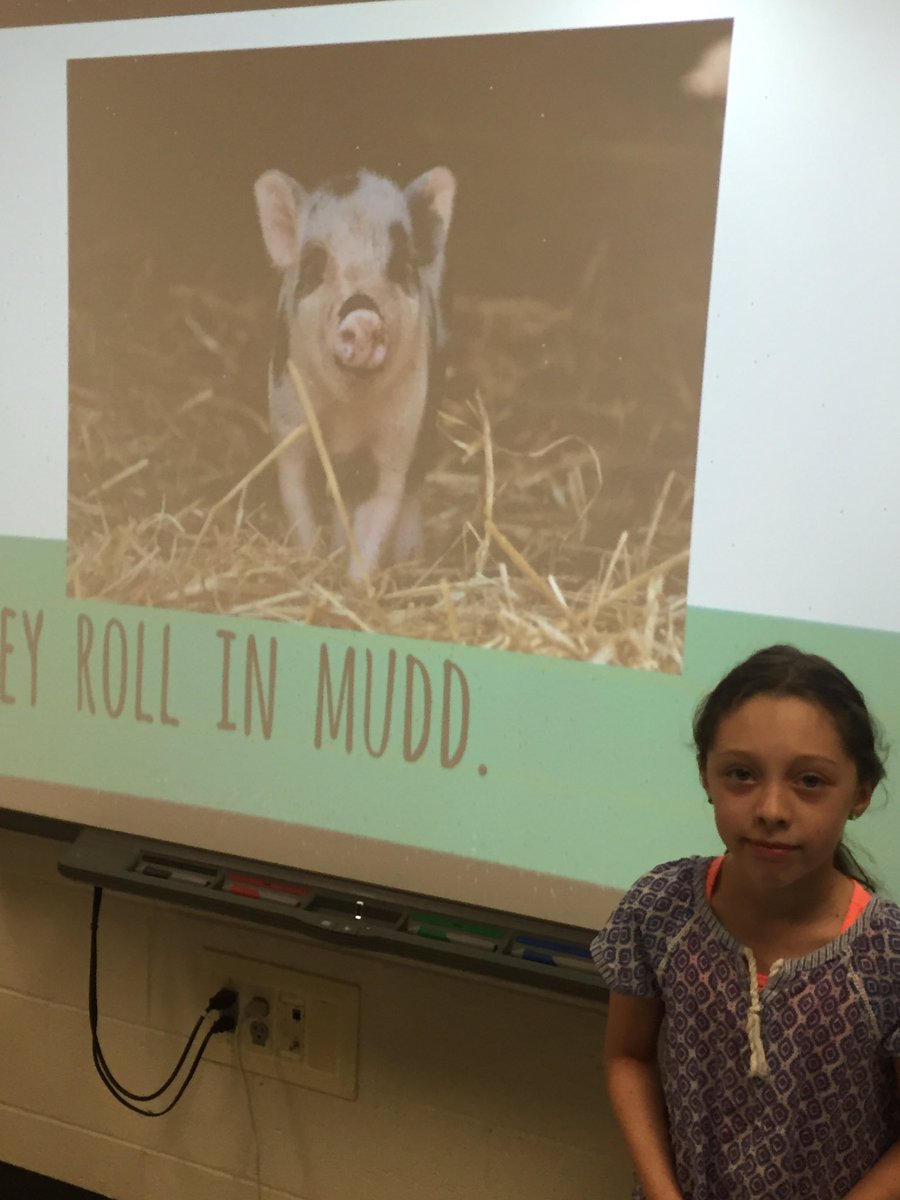 TishKatalinic's tweet image. Did you know? Animal Research... @OLHD123 #readyfor3rdgrade #summerschoolrules #googlesmart