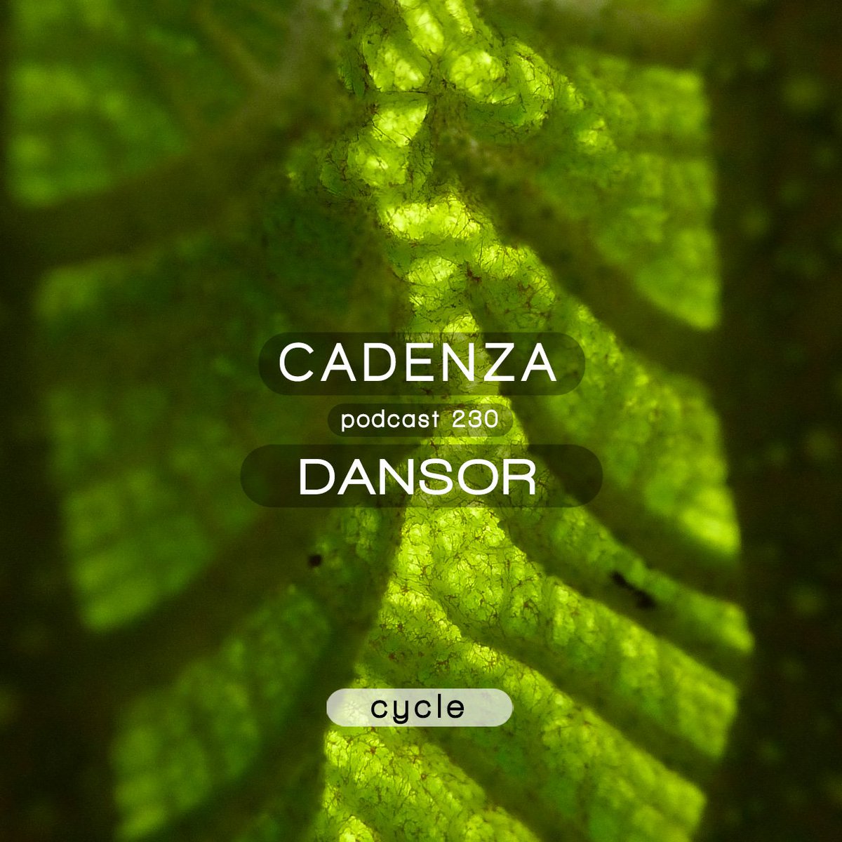 dansormusic's tweet photo. Check out my #sourcetocycle podcast for @lucianocadenza @Cadenzarecords <3 https://t.co/TkC13bvTr9 https://t.co/bjhUkTJBGE