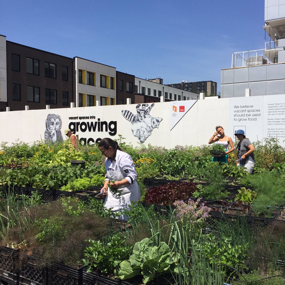 boweryproject tweet media