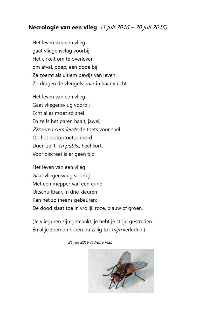 Hoe irritatie een aanleiding werd voor een creatieve oprisping. (Reacties zijn welkom!)