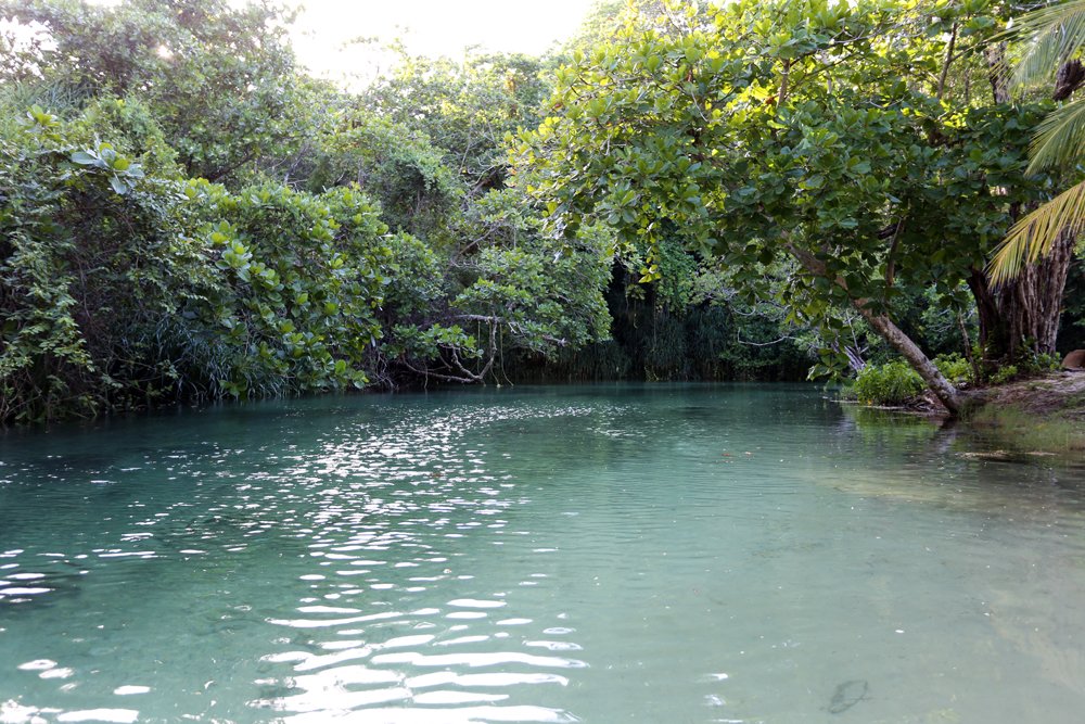 Paradise!

#frenchmanscove #jamaica #holiday #beach #JewelsOfJamaica #paradise #escape #lovelife