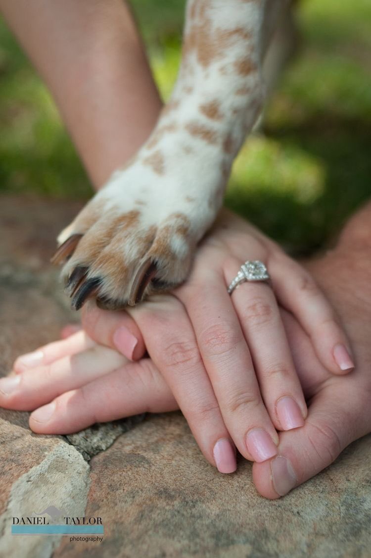allydunn89's tweet photo. @scalfryan our engagement pictures will be like https://t.co/Q4rf1sZqyS