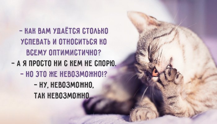 FirstJump07's tweet image. 