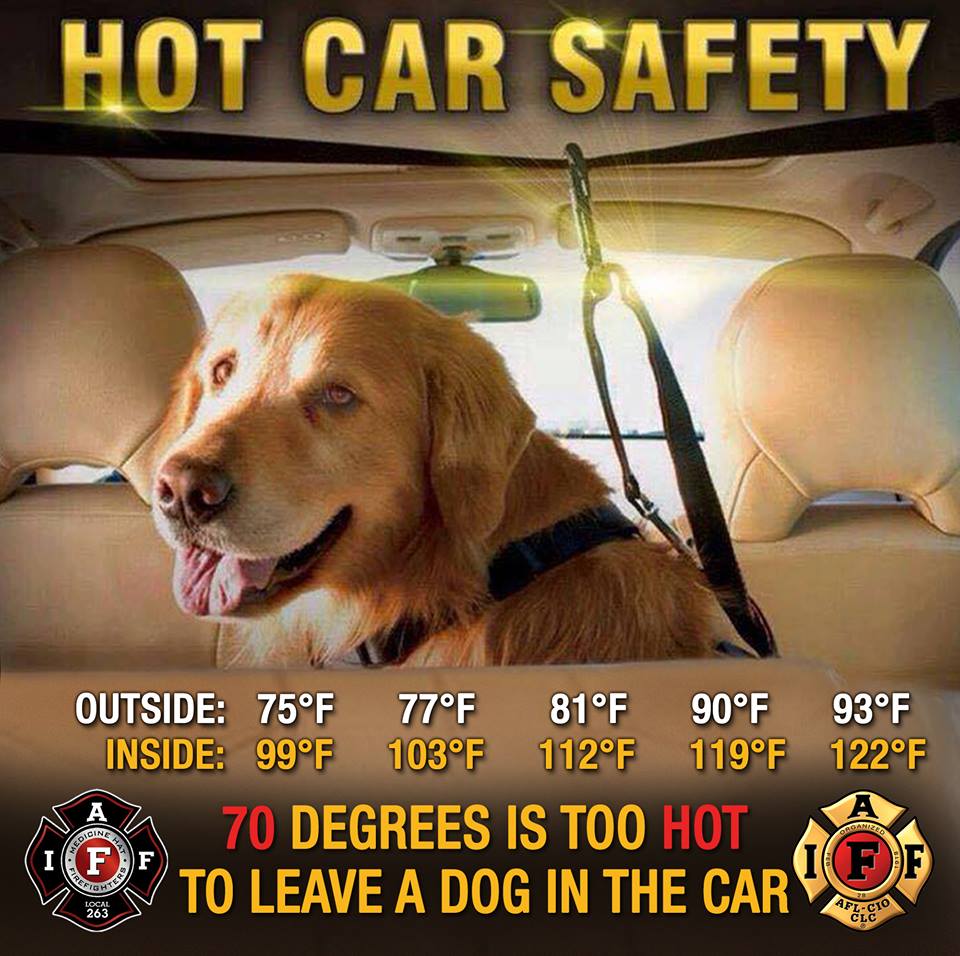 IAFFofficial's tweet image. Keep your pets #safe in the heat