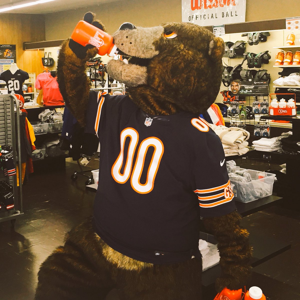 BearsSTH's tweet photo. Staley is taking a well deserved water break! Delivering #BearsTickets is hard work with it being so hot out here. https://t.co/EqV54W1E4W