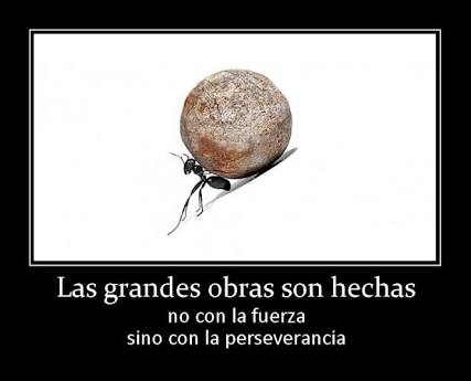 Soy_El_7_Mares's tweet photo. Con #Optimismo #Constancia #Esfuerzo y #Dedicación obtendremos #Éxito #ProhibidoRendirse #FelizJueves #Vamonoooooos https://t.co/OImn3M1I3p