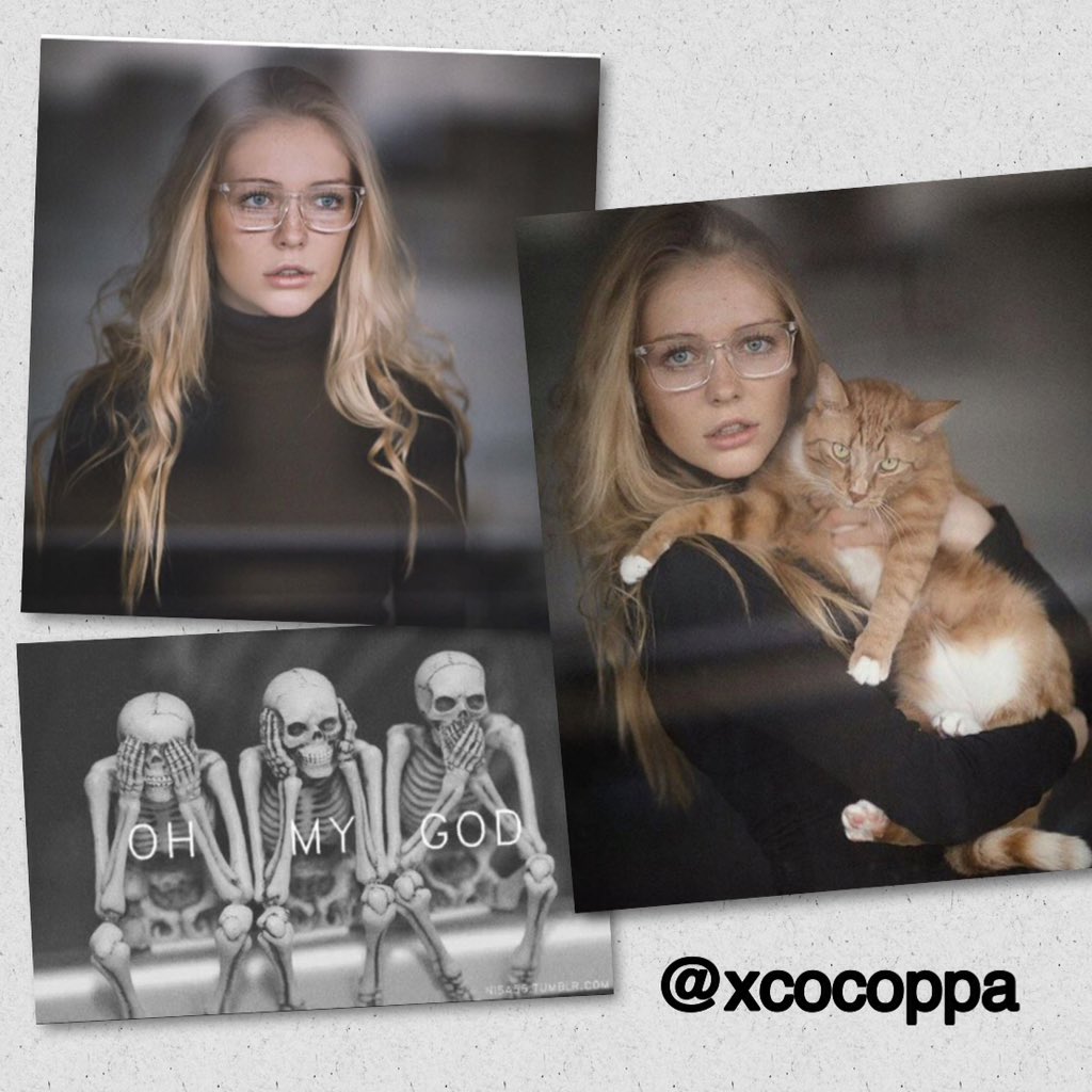 xcocoppa tweet picture