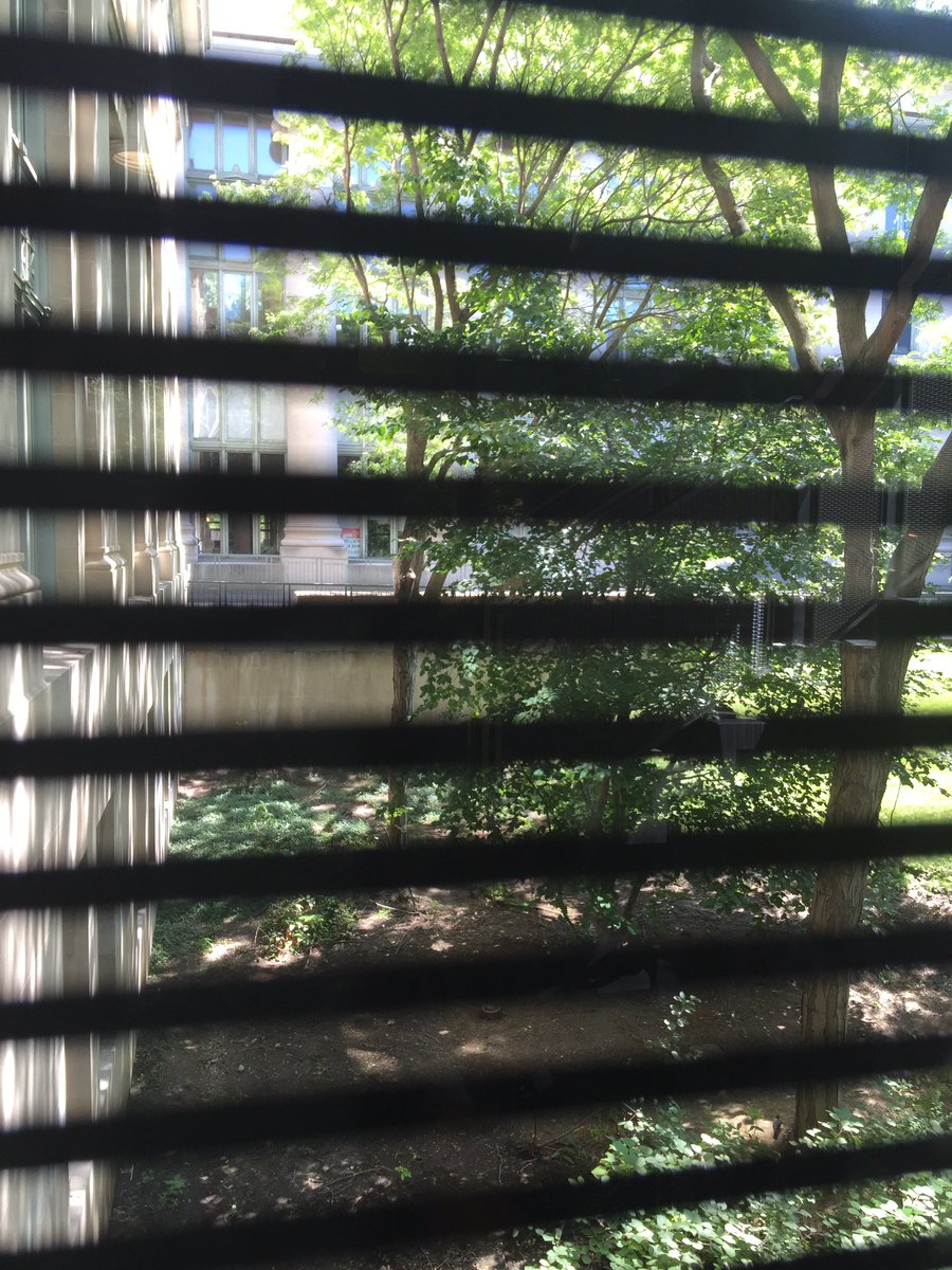 moralamm's tweet photo. #slowdown: observe boundaries and borders surrounding us! Also enjoy the sharing w/peers @OutofEdenLearn #PCZ2016 https://t.co/oXMdBt4ltW