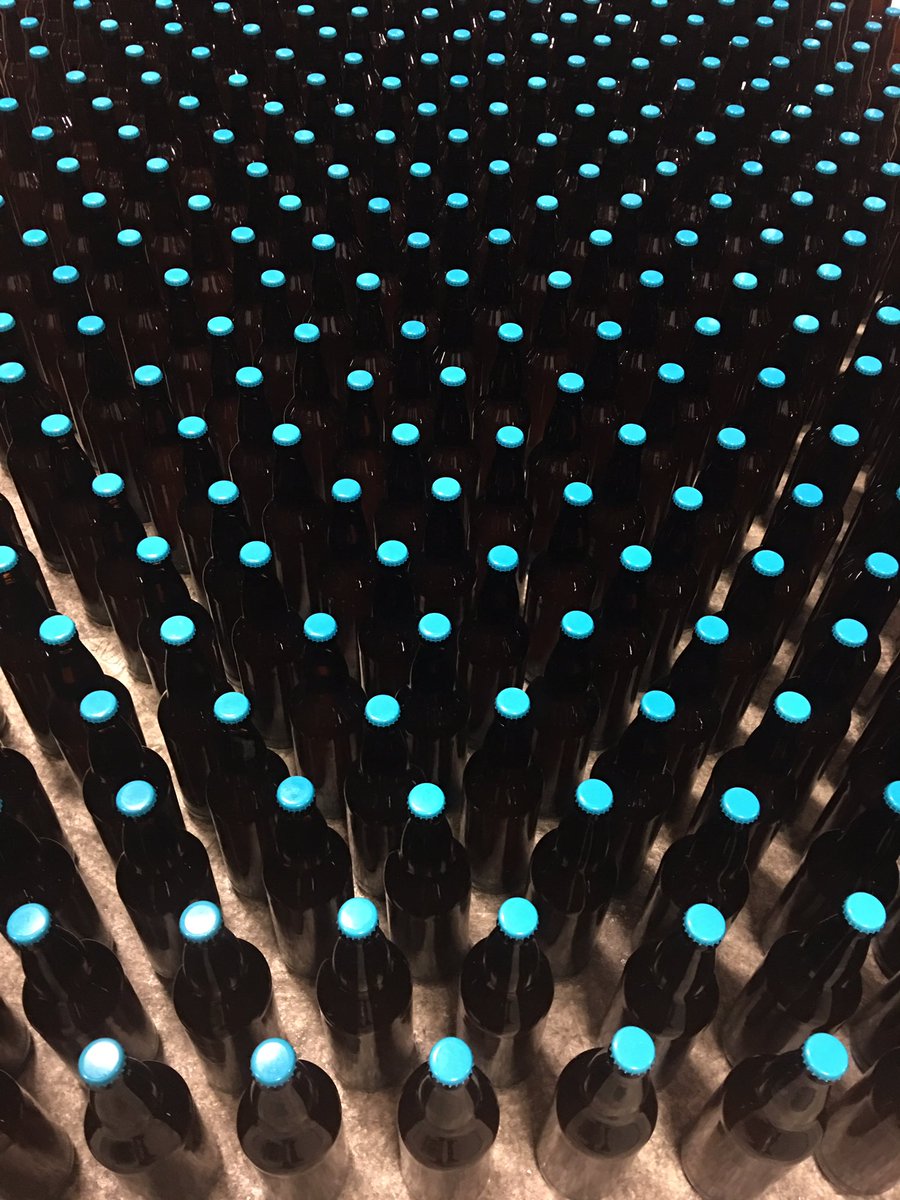 Under The Rose tweet media